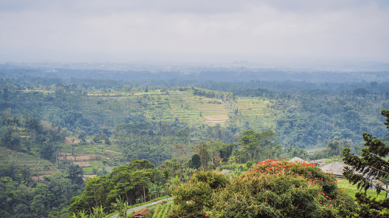 Bedugul-Hill.png