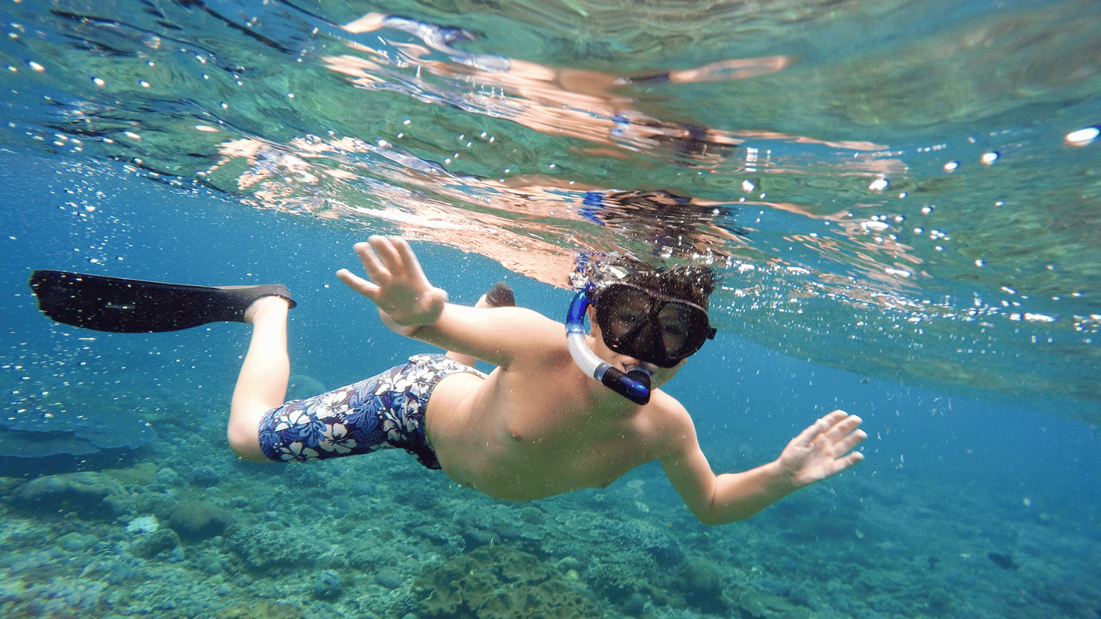 Snorkeling.png